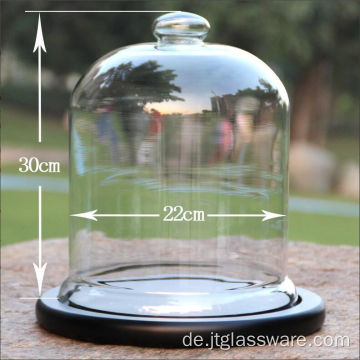 D22*H 30cm Glasglocke für Display